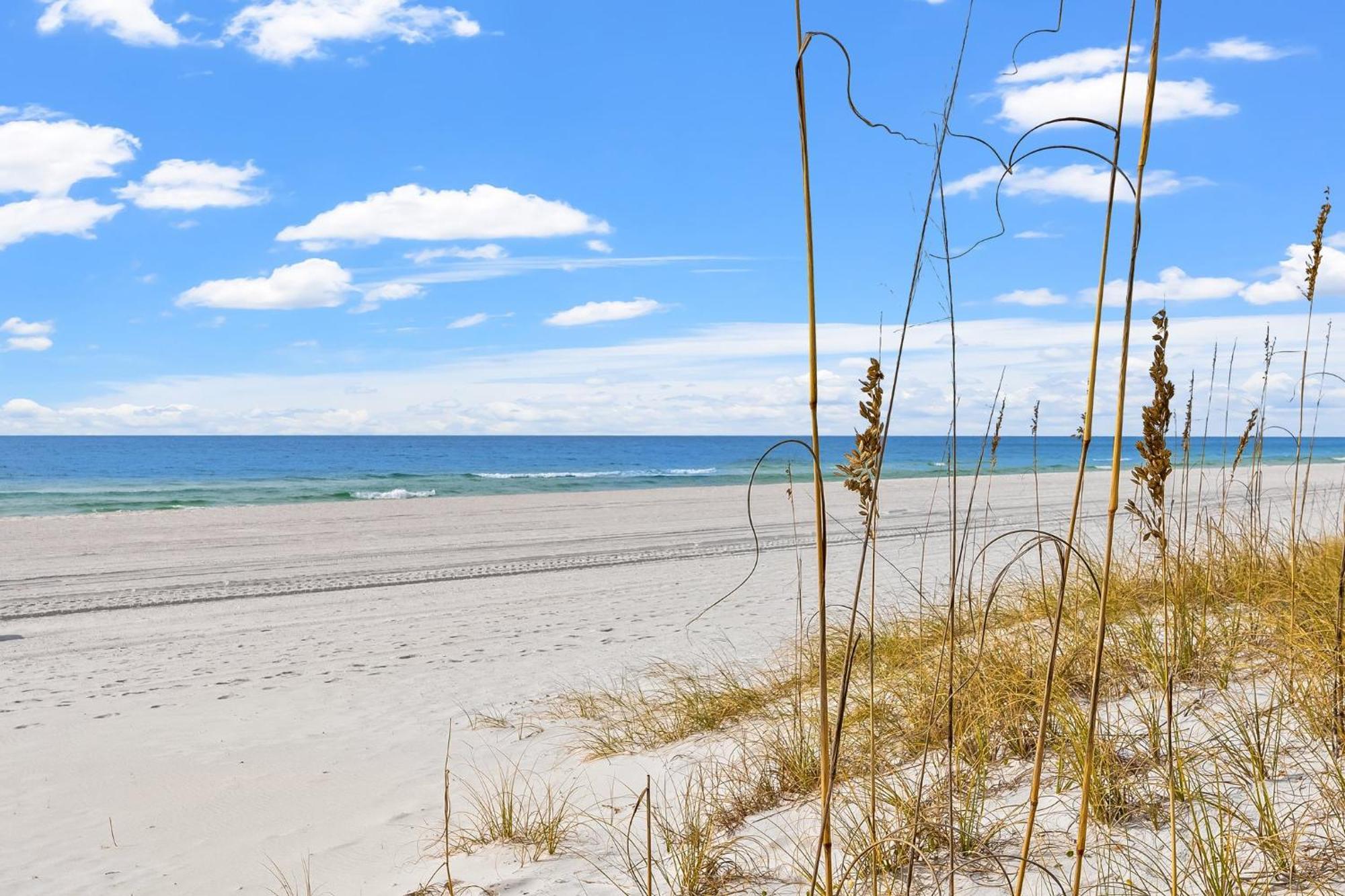 Treasure Island 1710 Διαμέρισμα Panama City Beach Εξωτερικό φωτογραφία